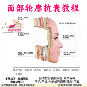 美商课程面部轮廓抗衰美肤减龄变美视频教程形象管理内在美好气色-虚拟宝库网-提供淘宝虚拟货源产品下载