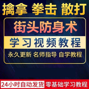 街头防身术擒拿拳击散打视频教程全套入门自学零基础学习教程视频-虚拟宝库网-提供淘宝虚拟货源产品下载