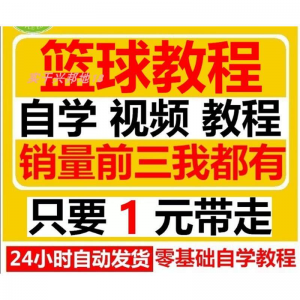 篮球视频教程大全教学训练教学课程基础打篮球技巧街球零基础入门-虚拟宝库网-提供淘宝虚拟货源产品下载