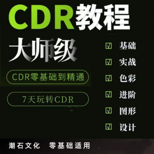 cdr教程视频Coreldraw自学平面设计广告排版零基础入门学习课程-虚拟宝库网-提供淘宝虚拟货源产品下载