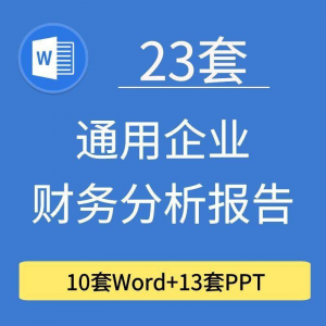 23套通用企业公司年度财务分析报告word电子文档模板PPT演示-虚拟宝库网-提供淘宝虚拟货源产品下载