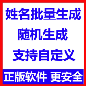 姓名批量生成工具 用户名随机不重复生成软件 可自定义-虚拟宝库网-提供淘宝虚拟货源产品下载