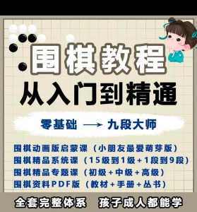 围棋教程零基础儿童视频课少儿动画启蒙围棋入门系统电子资料课程-虚拟宝库网-提供淘宝虚拟货源产品下载