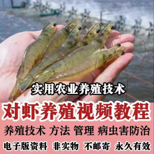 对虾养殖技术视频教学教程水质管理日常养护疾病防治南美白素材-虚拟宝库网-提供淘宝虚拟货源产品下载