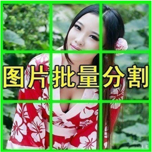 图片批量切割软件 图片批量分割工具 批量切图器 图片批量裁剪-虚拟宝库网-提供淘宝虚拟货源产品下载