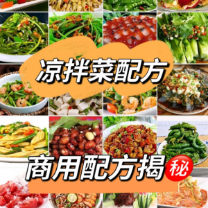 摆地摊街边特色自选拌凉菜小菜制作小吃技术配方教程培训视频教学-虚拟宝库网-提供淘宝虚拟货源产品下载