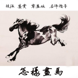怎么画马视频教程教学自学画马技巧全套零基础入门到提高名水墨画-虚拟宝库网-提供淘宝虚拟货源产品下载